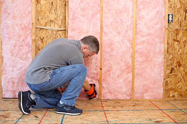 Best Eco-Friendly Insulation in Beesleys Point, NJ